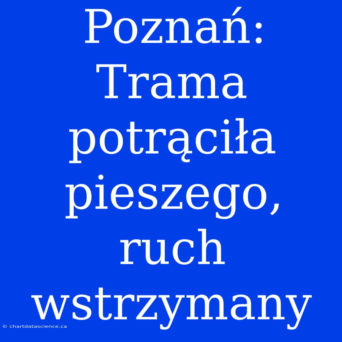 Poznań: Trama Potrąciła Pieszego, Ruch Wstrzymany