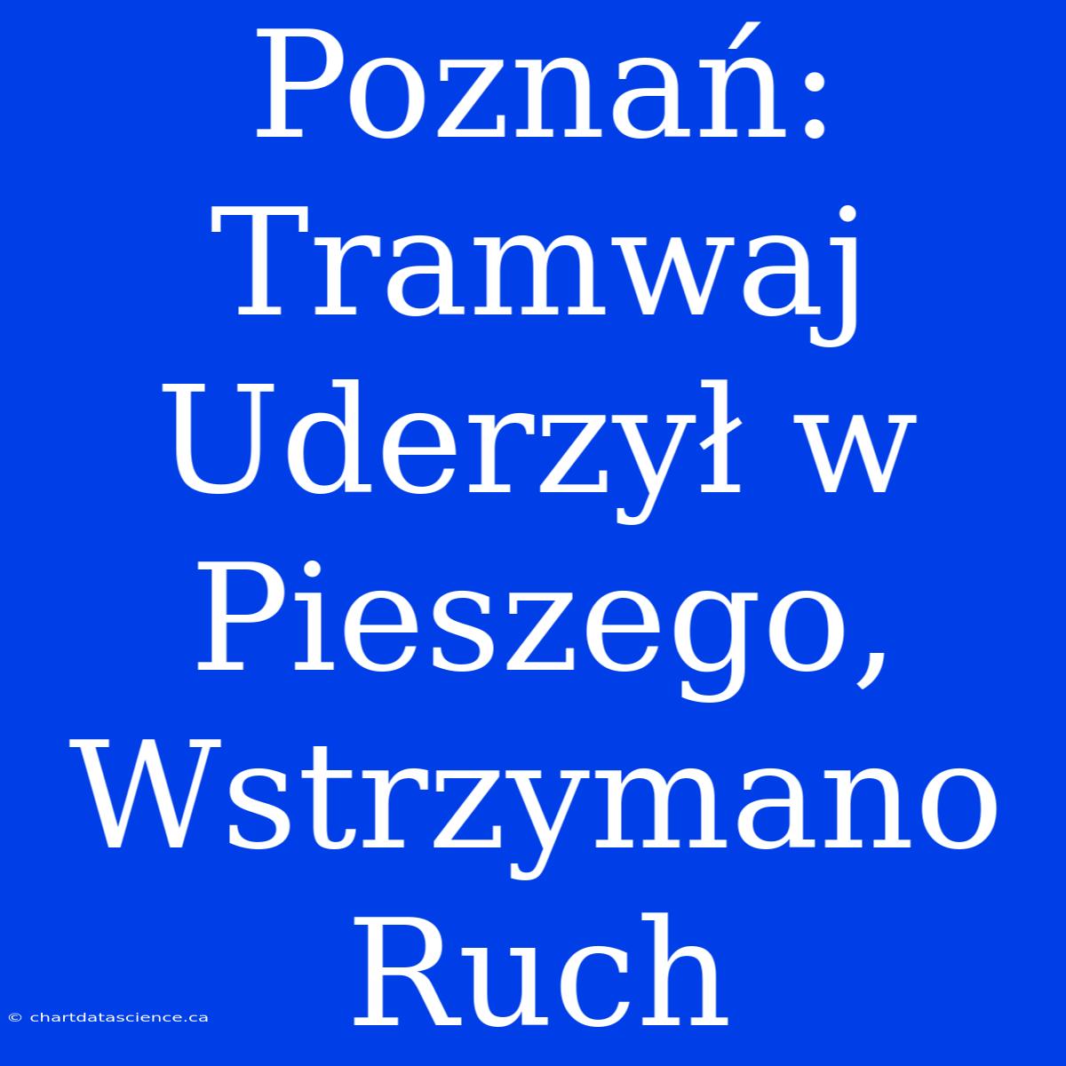 Poznań: Tramwaj Uderzył W Pieszego, Wstrzymano Ruch