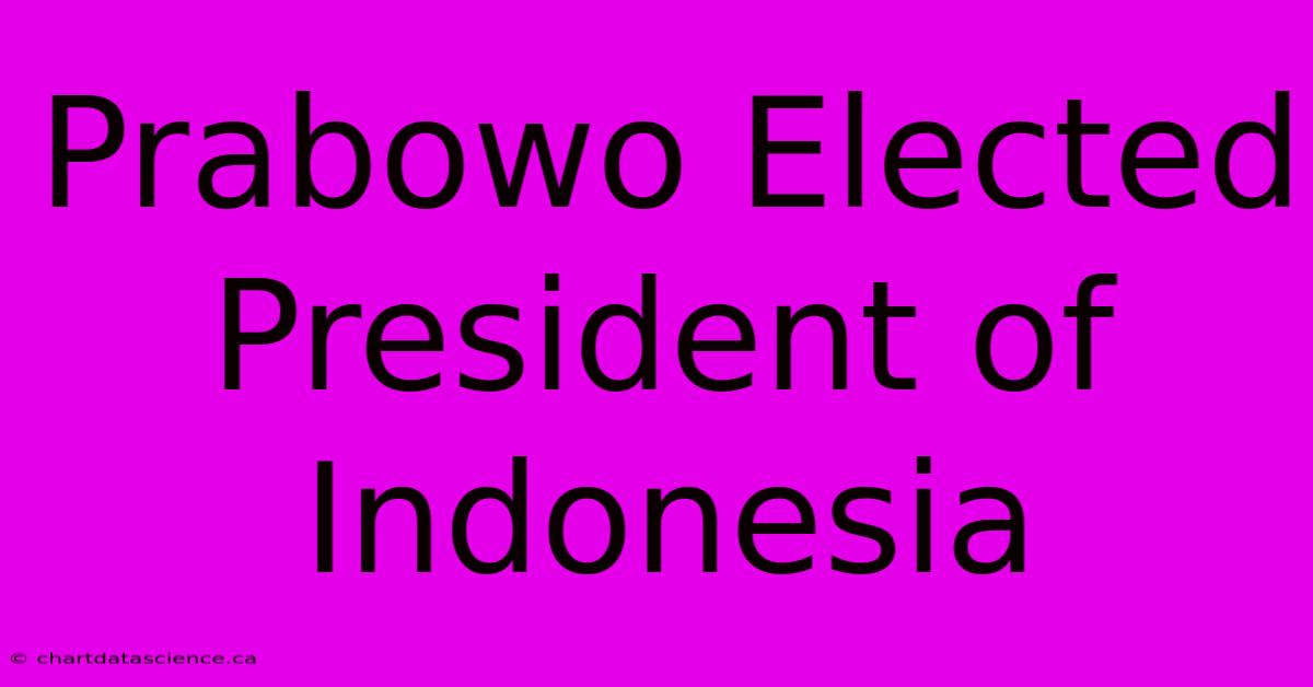 Prabowo Elected President Of Indonesia