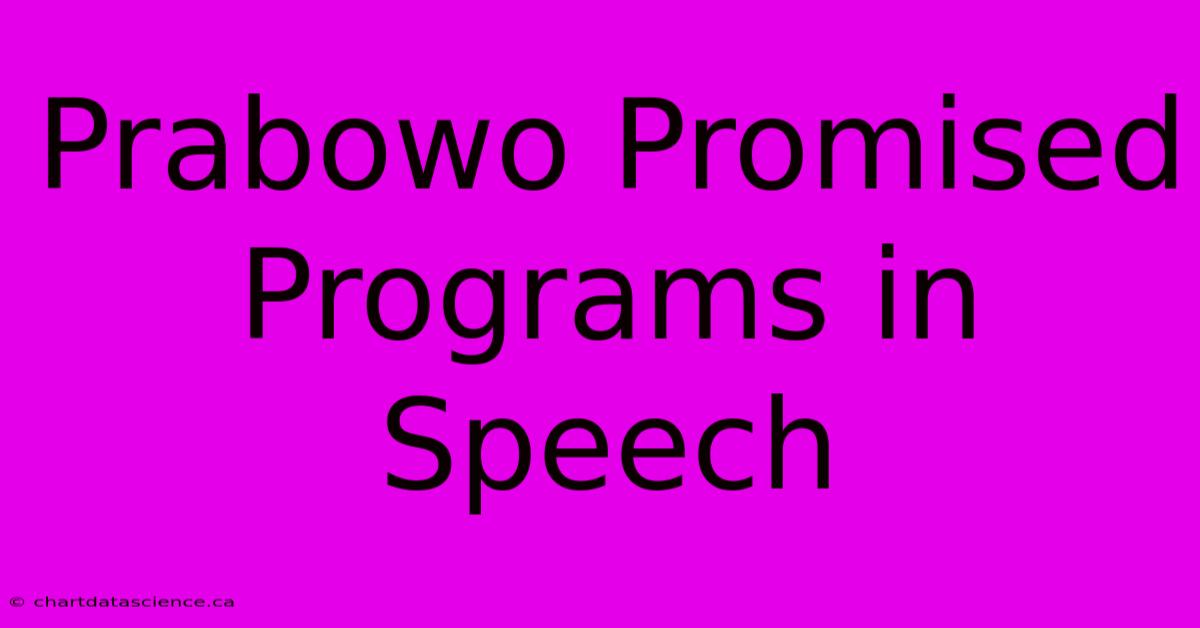 Prabowo Promised Programs In Speech