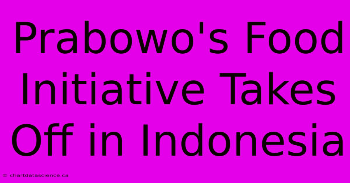 Prabowo's Food Initiative Takes Off In Indonesia