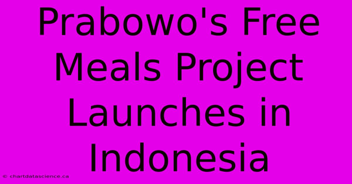 Prabowo's Free Meals Project Launches In Indonesia