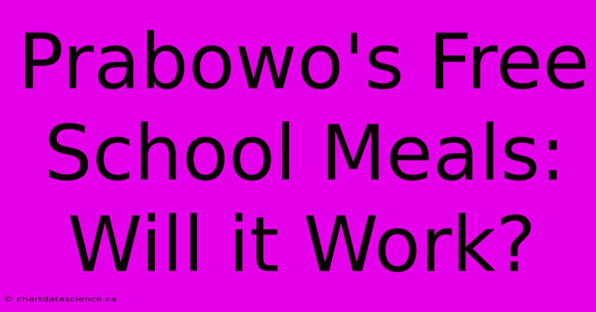 Prabowo's Free School Meals: Will It Work?