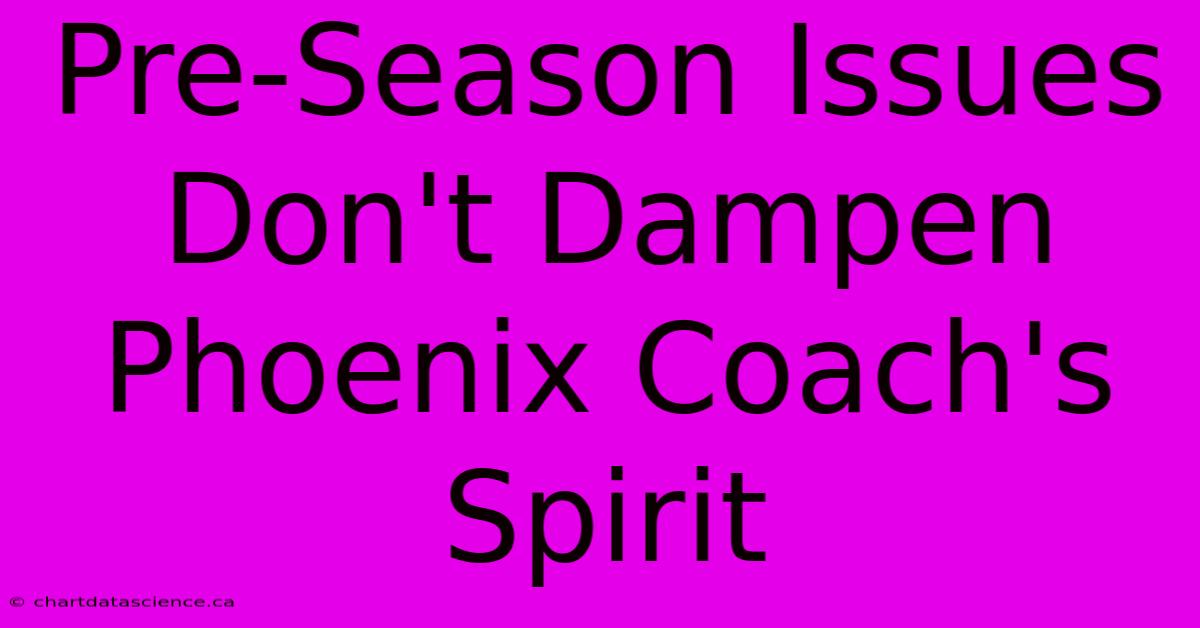 Pre-Season Issues Don't Dampen Phoenix Coach's Spirit