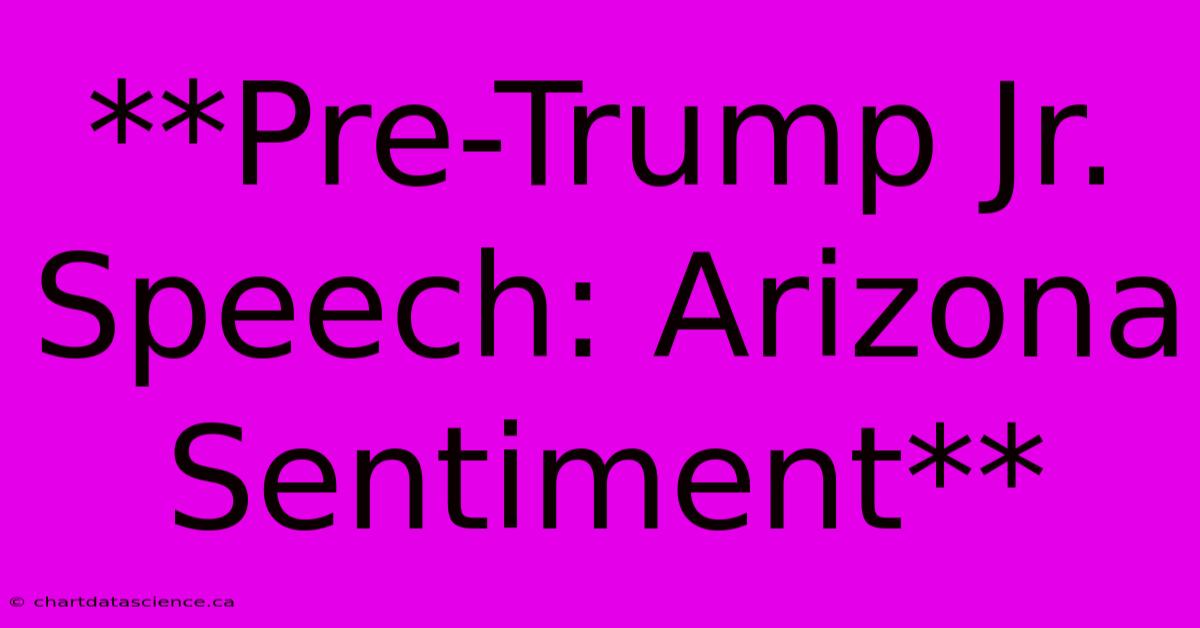 **Pre-Trump Jr. Speech: Arizona Sentiment** 