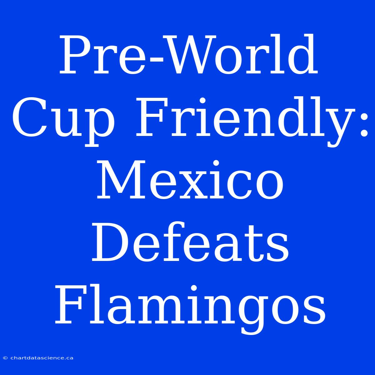 Pre-World Cup Friendly: Mexico Defeats Flamingos