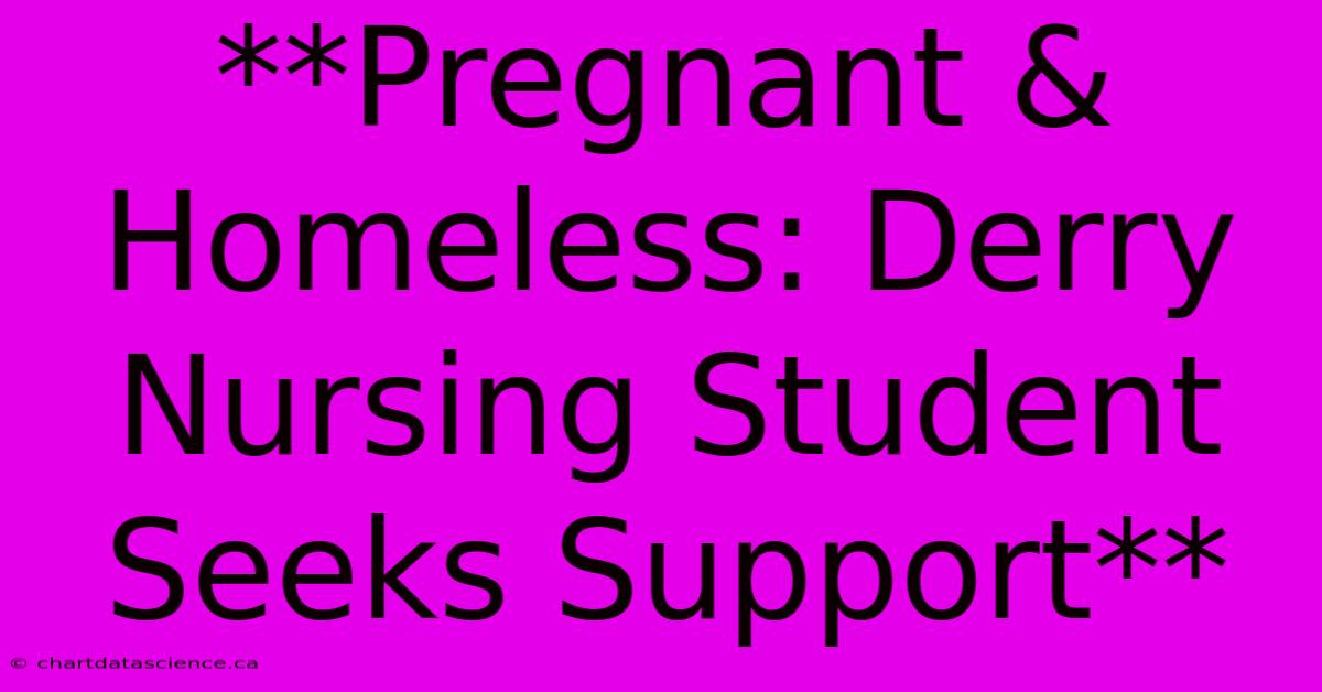 **Pregnant & Homeless: Derry Nursing Student Seeks Support**