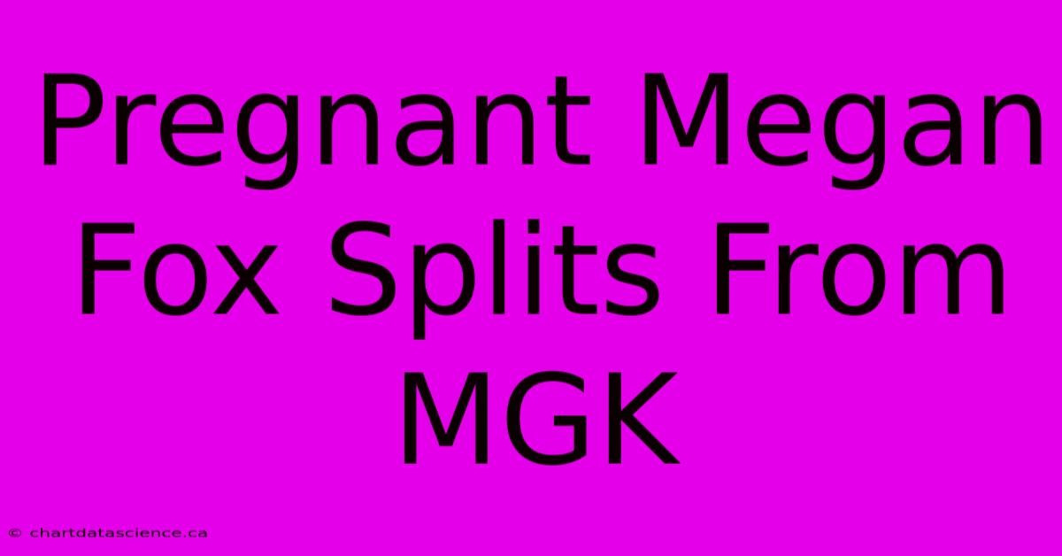 Pregnant Megan Fox Splits From MGK