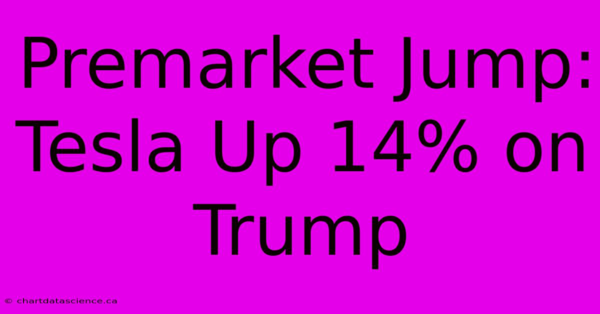 Premarket Jump: Tesla Up 14% On Trump