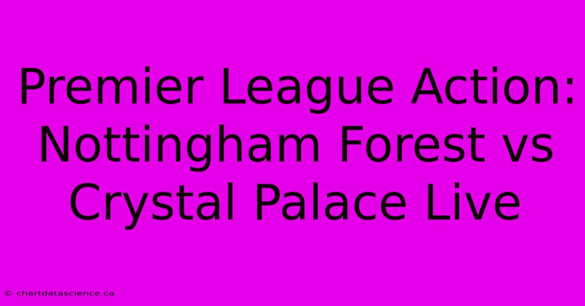 Premier League Action: Nottingham Forest Vs Crystal Palace Live