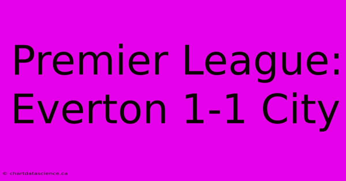 Premier League: Everton 1-1 City