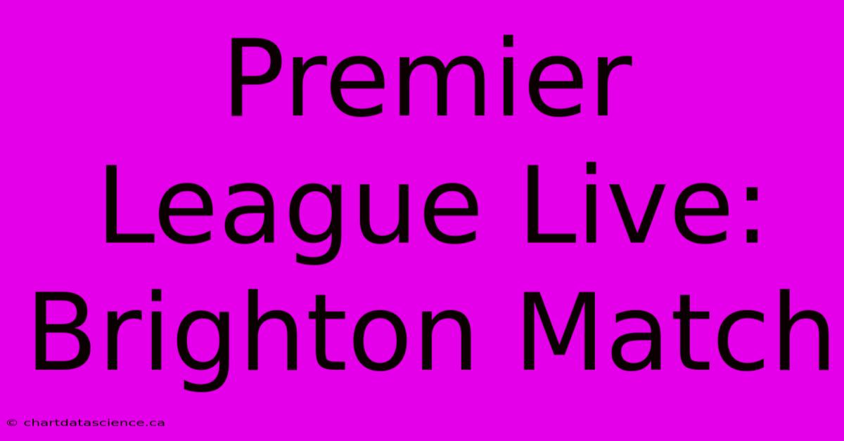 Premier League Live: Brighton Match