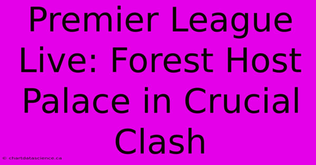 Premier League Live: Forest Host Palace In Crucial Clash