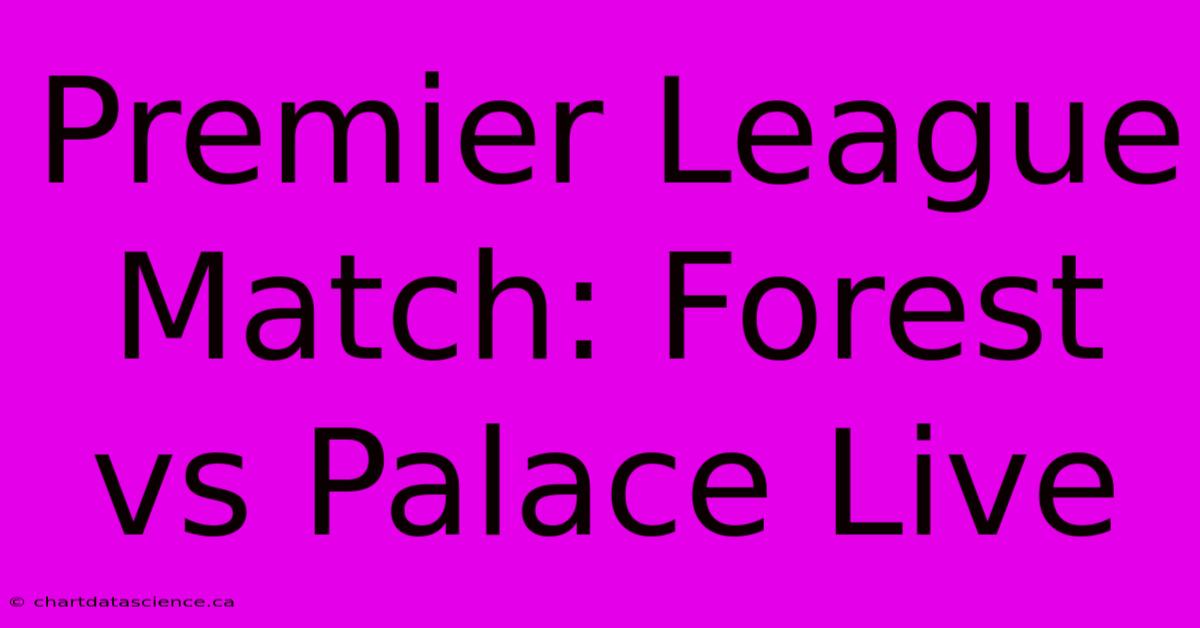 Premier League Match: Forest Vs Palace Live