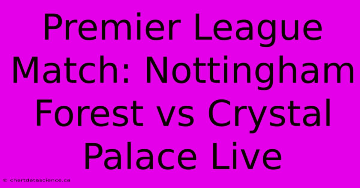 Premier League Match: Nottingham Forest Vs Crystal Palace Live