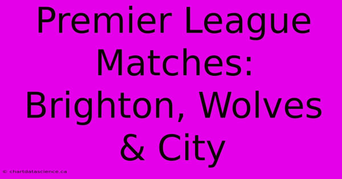 Premier League Matches: Brighton, Wolves & City 