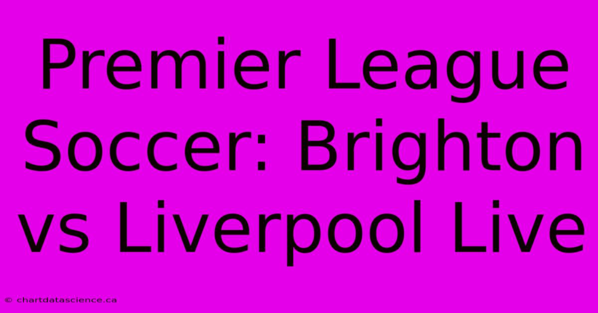 Premier League Soccer: Brighton Vs Liverpool Live 