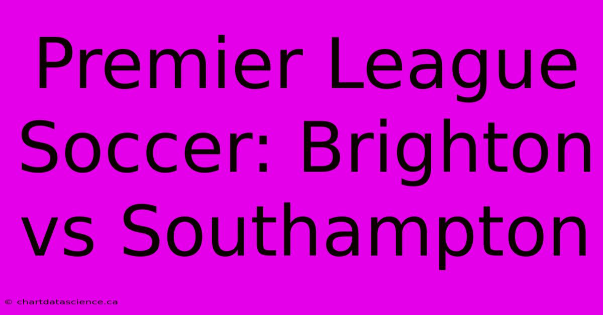 Premier League Soccer: Brighton Vs Southampton