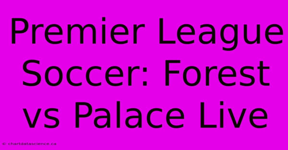 Premier League Soccer: Forest Vs Palace Live