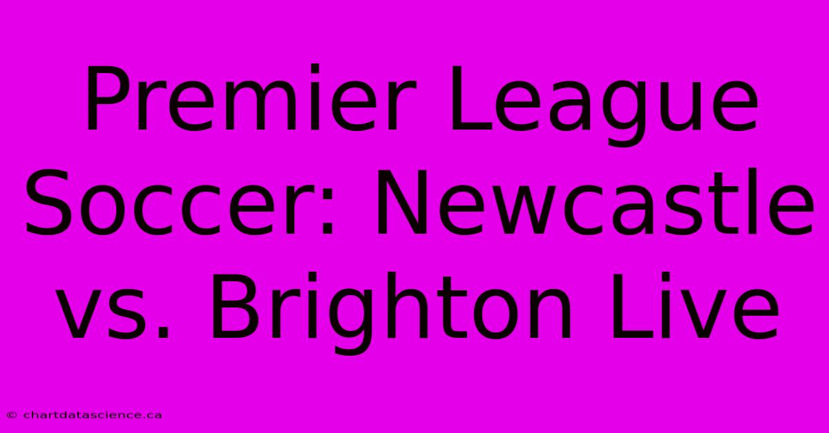 Premier League Soccer: Newcastle Vs. Brighton Live 