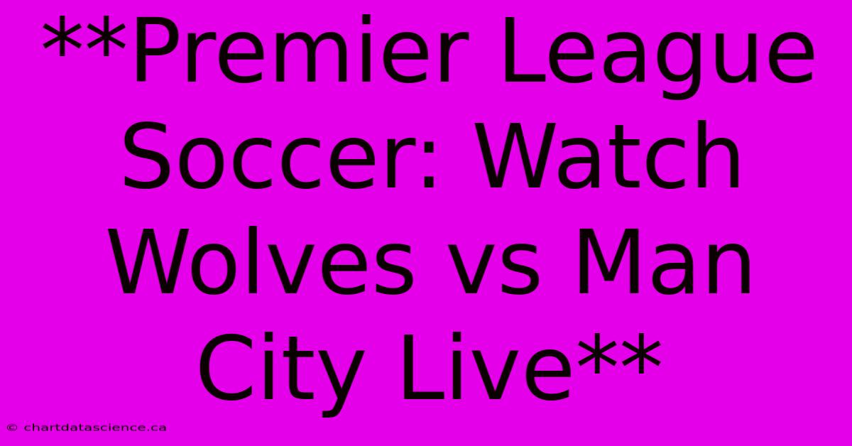 **Premier League Soccer: Watch Wolves Vs Man City Live**