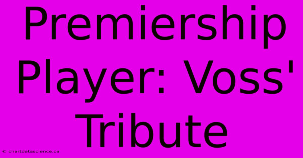 Premiership Player: Voss' Tribute