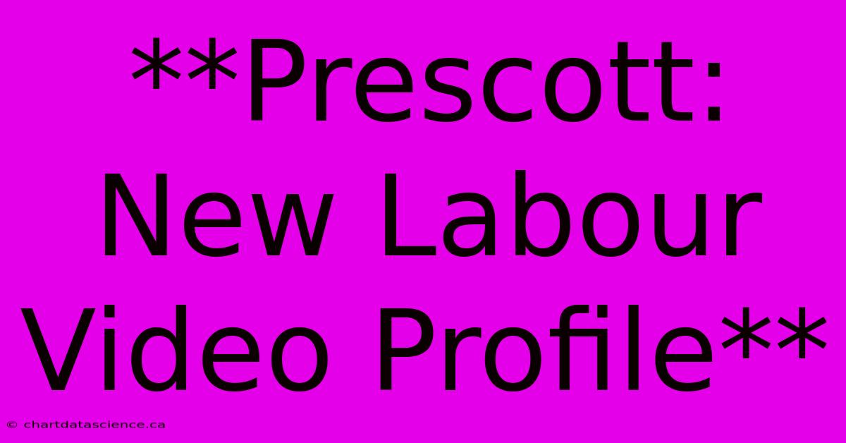 **Prescott: New Labour Video Profile**