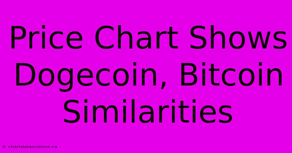 Price Chart Shows Dogecoin, Bitcoin Similarities 