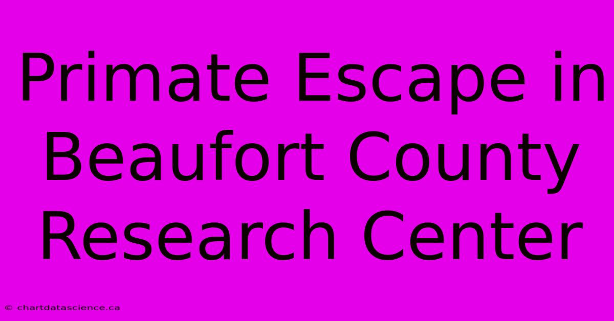 Primate Escape In Beaufort County Research Center