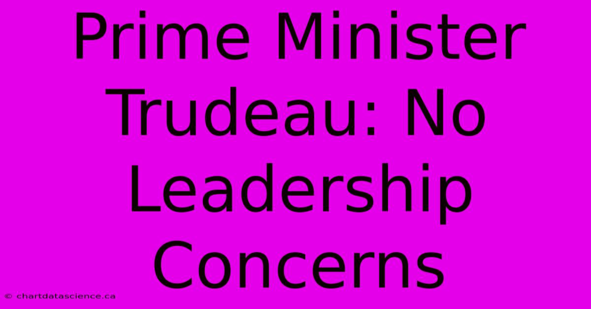 Prime Minister Trudeau: No Leadership Concerns