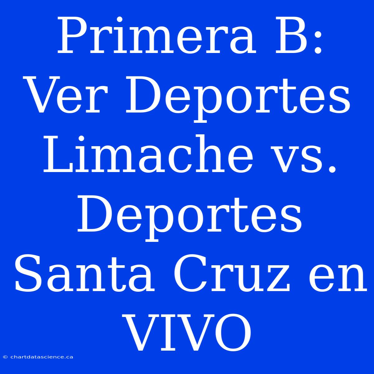 Primera B: Ver Deportes Limache Vs. Deportes Santa Cruz En VIVO