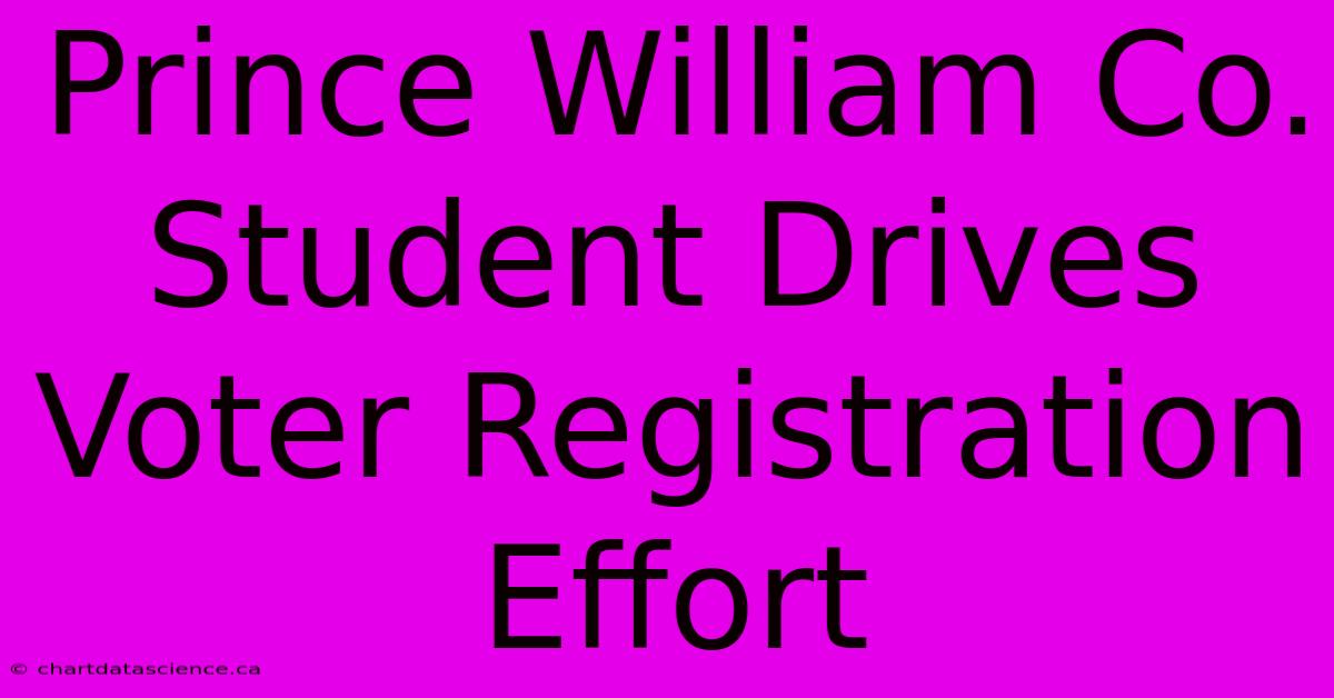 Prince William Co. Student Drives Voter Registration Effort