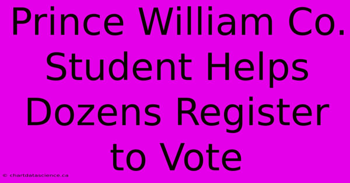 Prince William Co. Student Helps Dozens Register To Vote