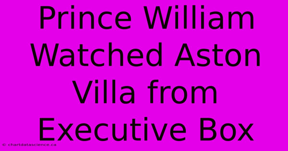 Prince William Watched Aston Villa From Executive Box