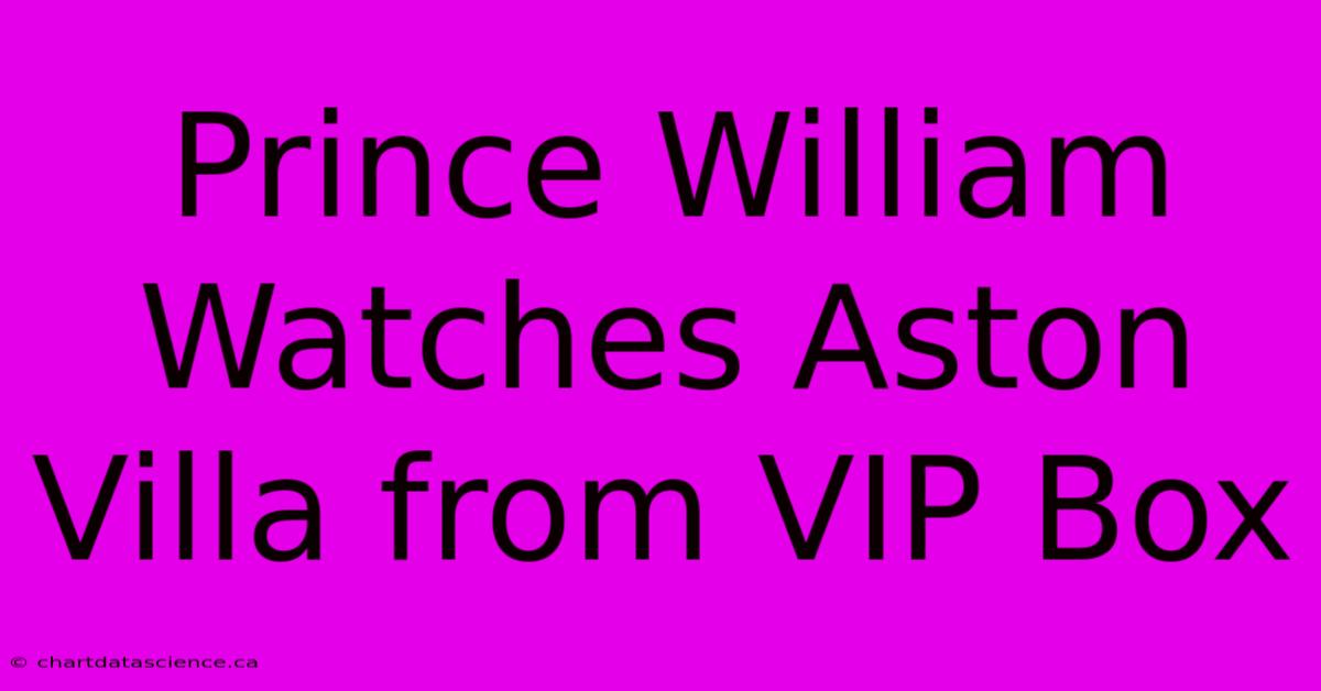 Prince William Watches Aston Villa From VIP Box