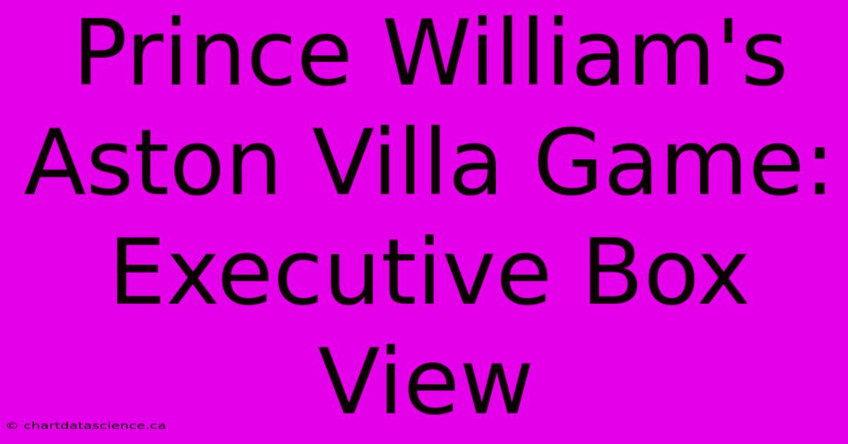 Prince William's Aston Villa Game: Executive Box View