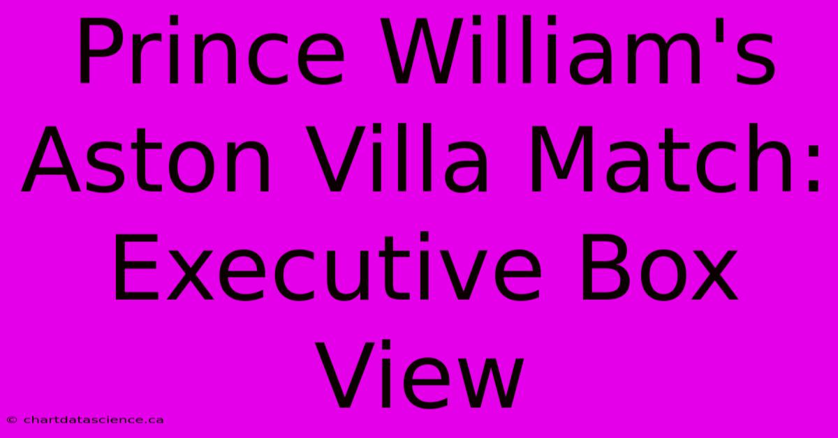 Prince William's Aston Villa Match: Executive Box View