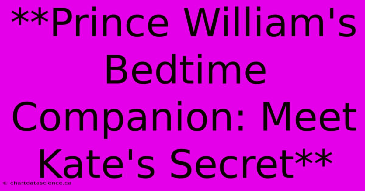 **Prince William's Bedtime Companion: Meet Kate's Secret**