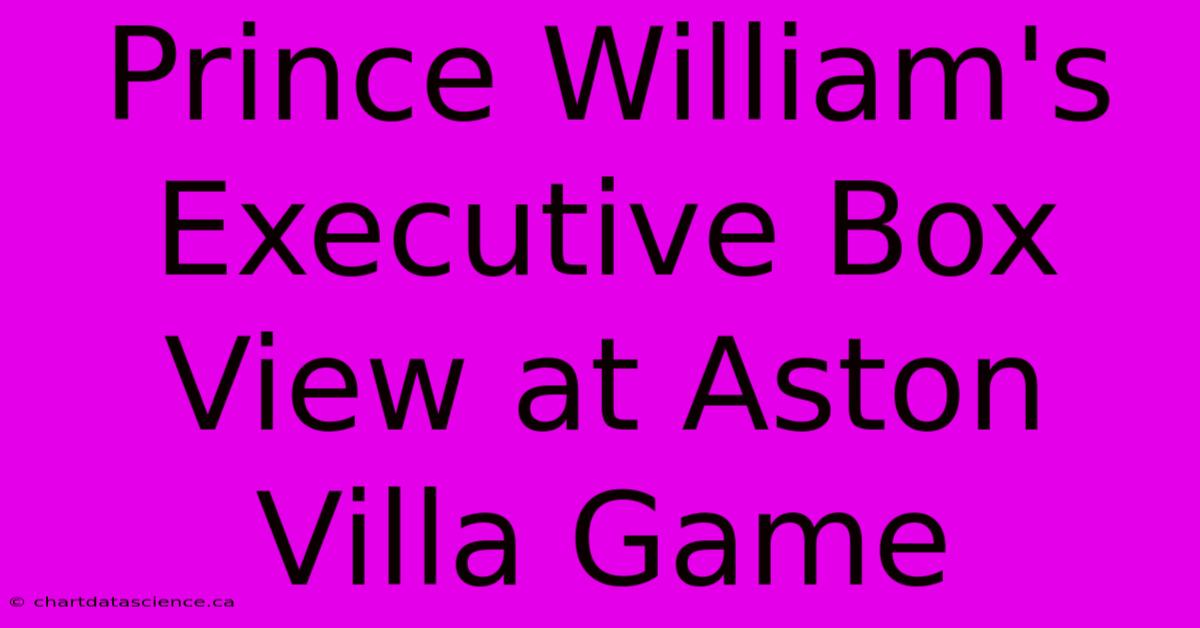 Prince William's Executive Box View At Aston Villa Game