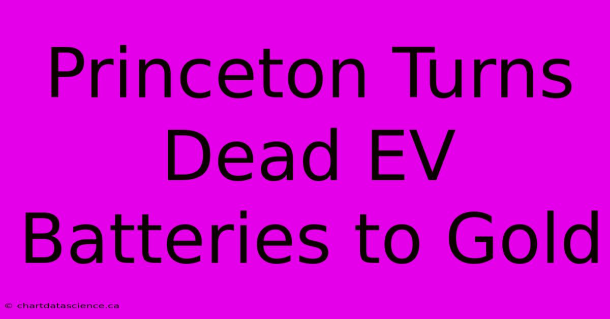 Princeton Turns Dead EV Batteries To Gold