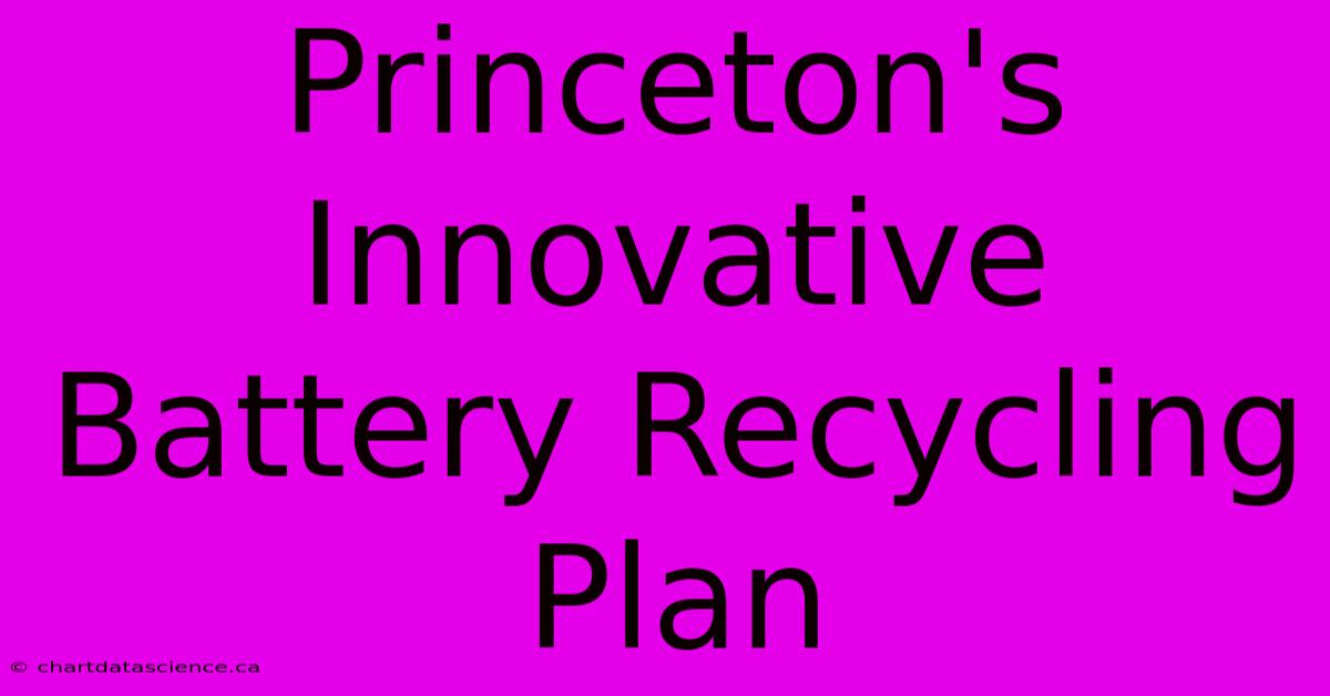 Princeton's Innovative Battery Recycling Plan