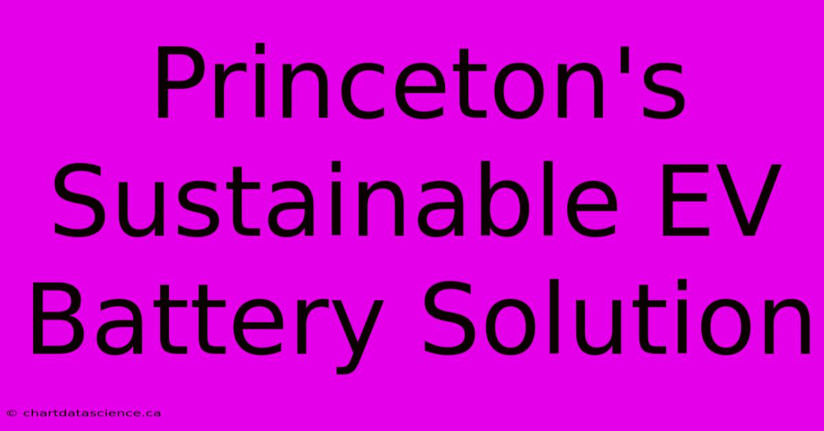 Princeton's Sustainable EV Battery Solution