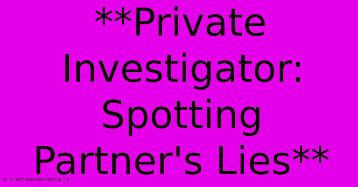 **Private Investigator: Spotting Partner's Lies** 