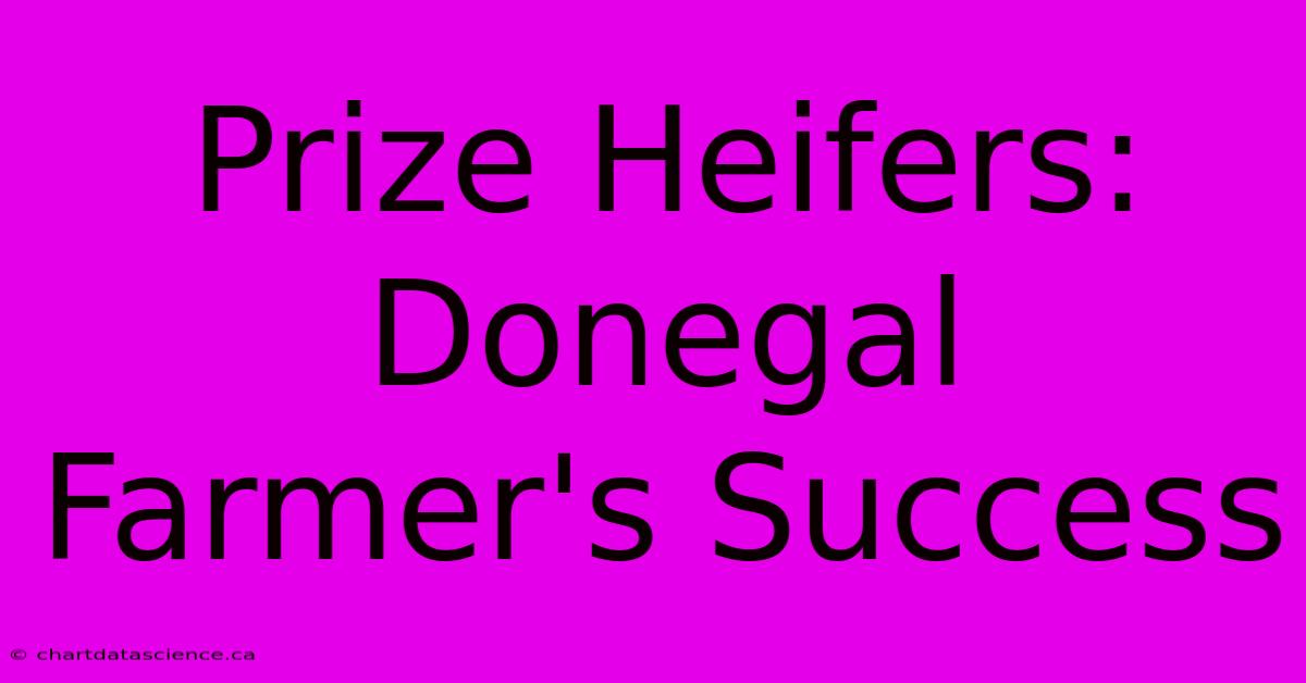 Prize Heifers: Donegal Farmer's Success