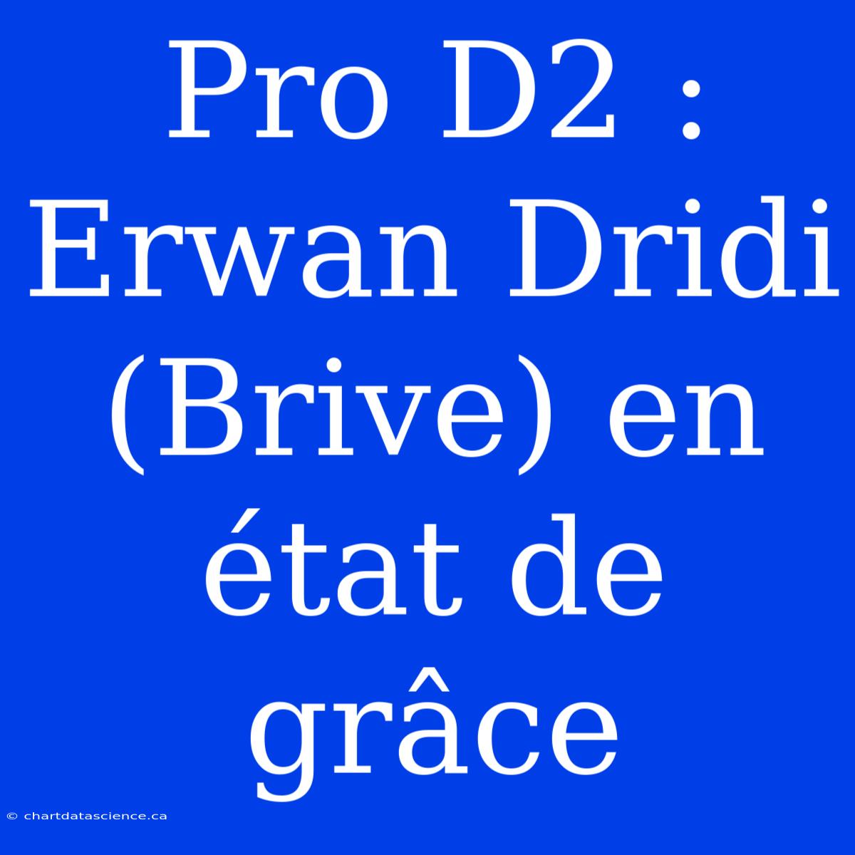 Pro D2 : Erwan Dridi (Brive) En État De Grâce