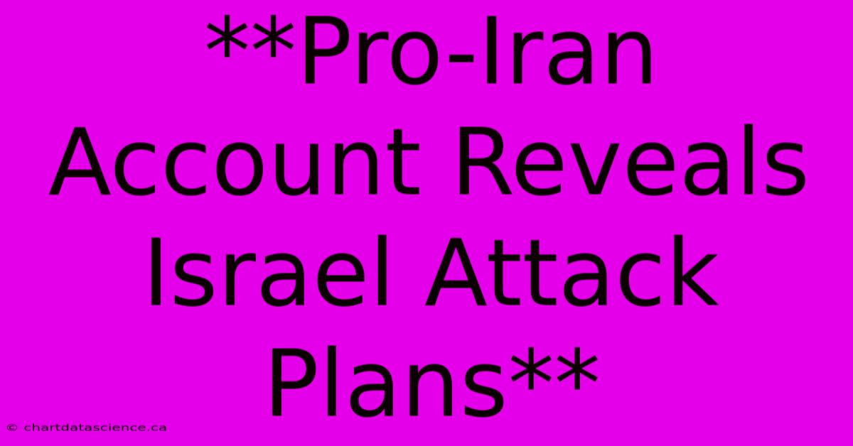 **Pro-Iran Account Reveals Israel Attack Plans**