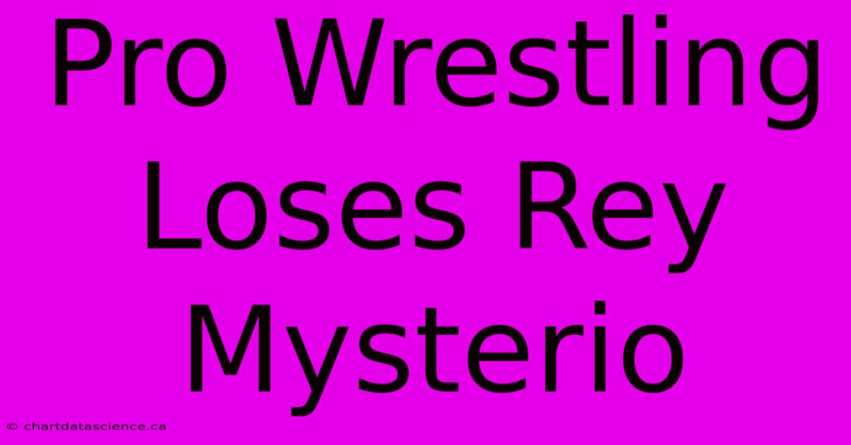 Pro Wrestling Loses Rey Mysterio