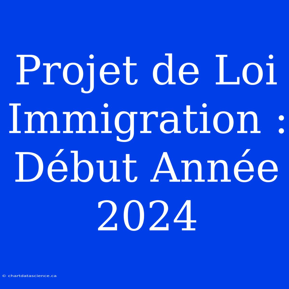 Projet De Loi Immigration : Début Année 2024