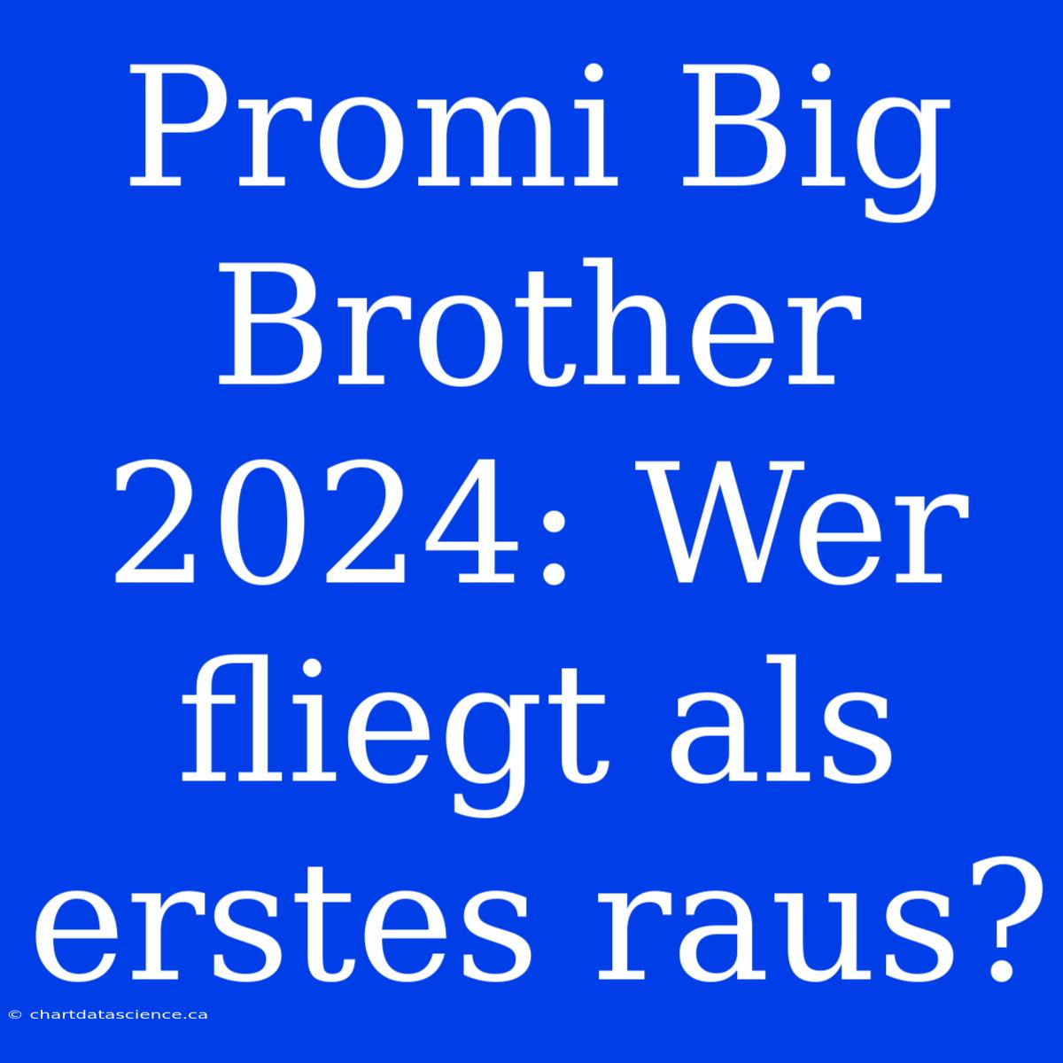 Promi Big Brother 2024: Wer Fliegt Als Erstes Raus?