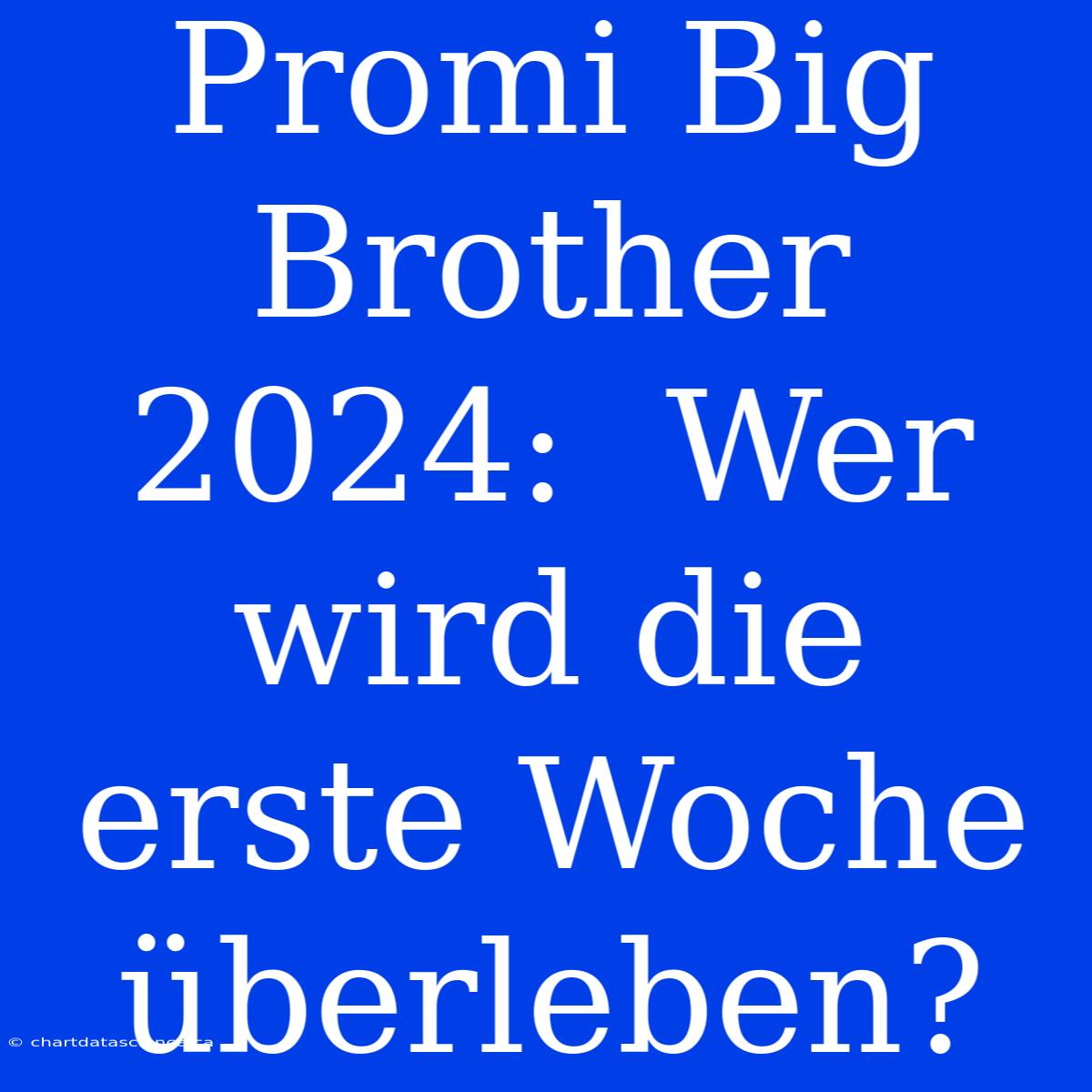 Promi Big Brother 2024:  Wer Wird Die Erste Woche Überleben?